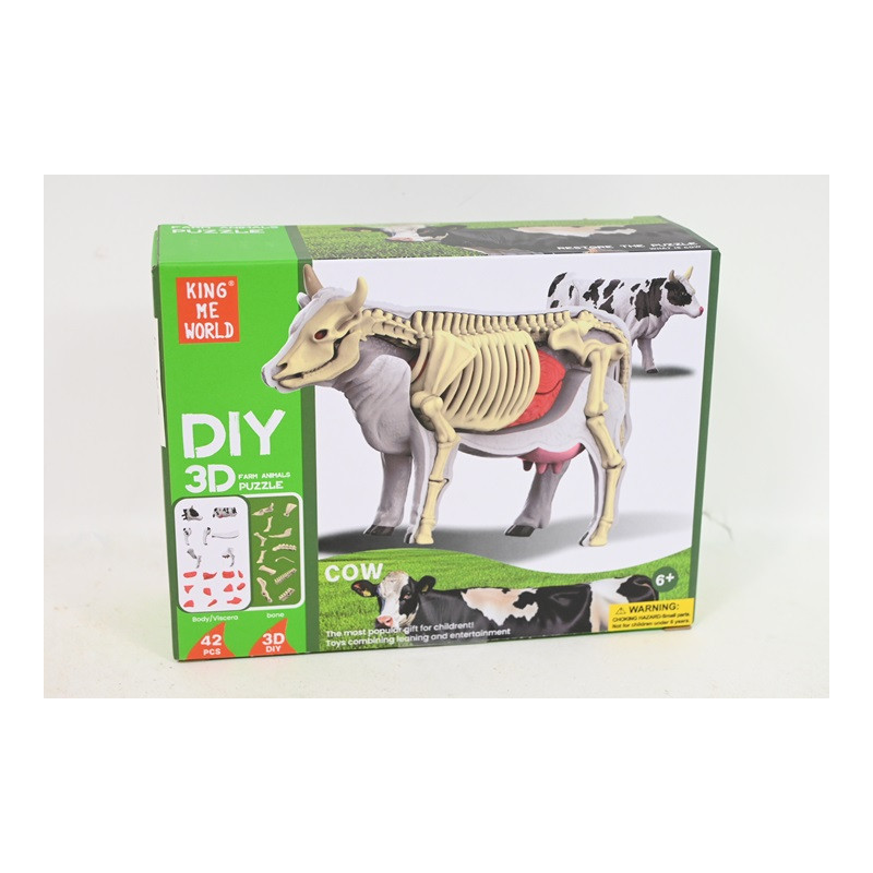  Model anatomiczny zwierzęta 2002266 22664