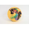  Piłka Raya Dragon licencja 23cm 026943