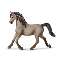  SLH klacz arabska exclusive 72154 33744