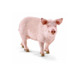  SLH świnia 13782 70211