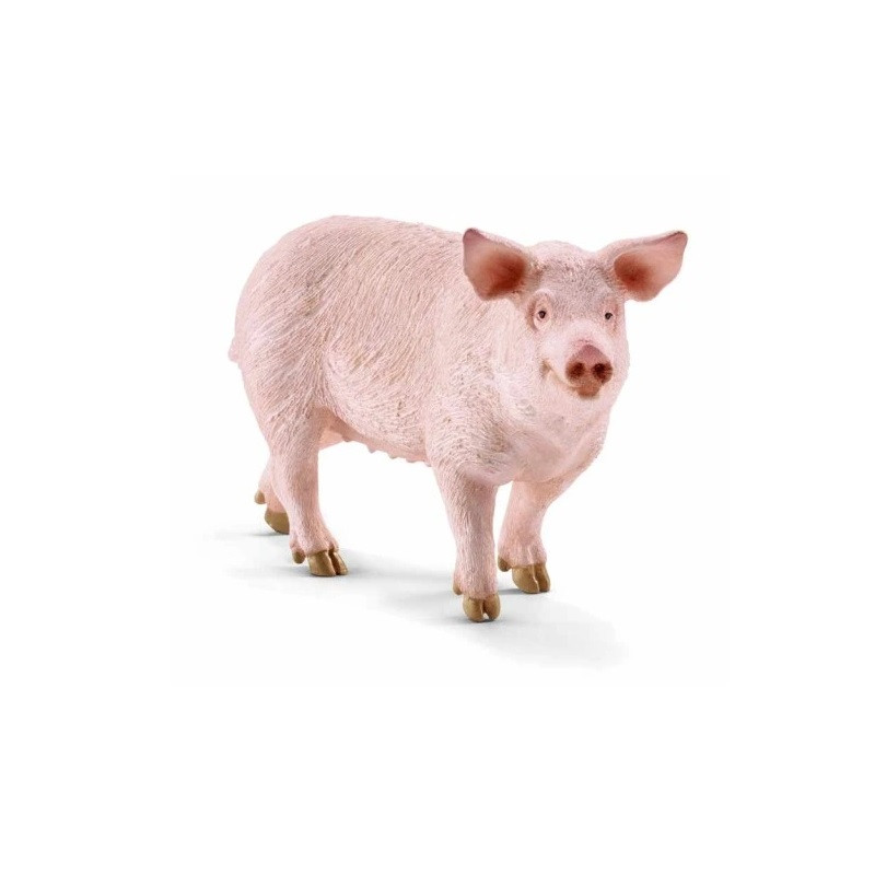  SLH świnia 13782 70211