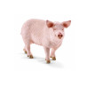  SLH świnia 13782 70211
