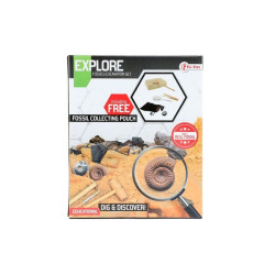  Wykopaliska skamieliny 59573