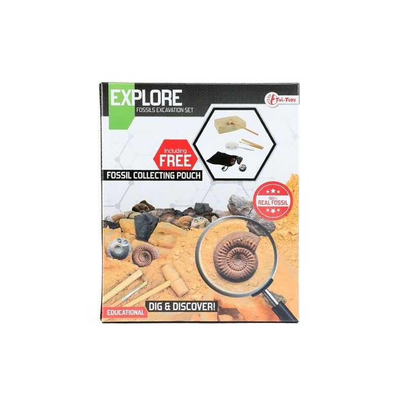  Wykopaliska skamieliny 59573