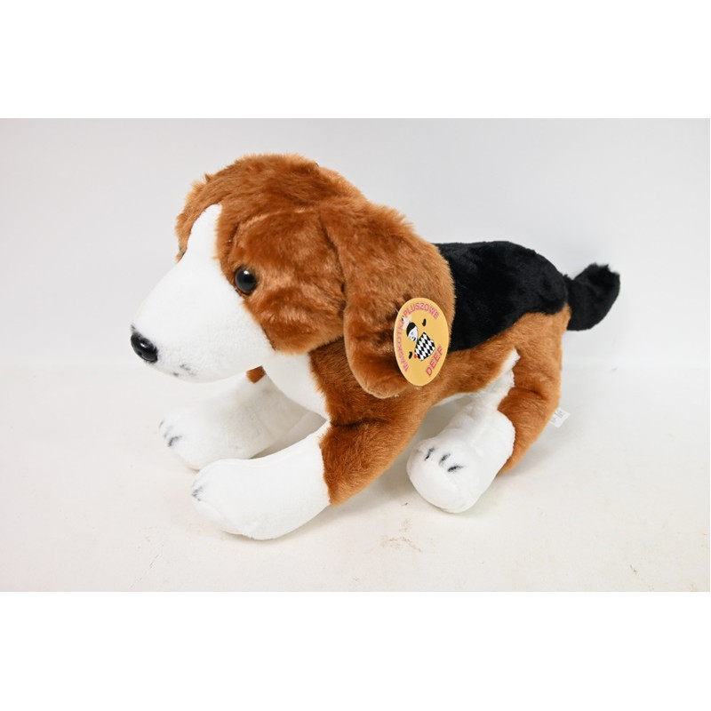 Beagle VIC 04276 42769