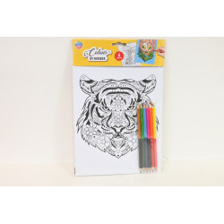 CCG kolorowanie po numer.A4 6str 150058 82356