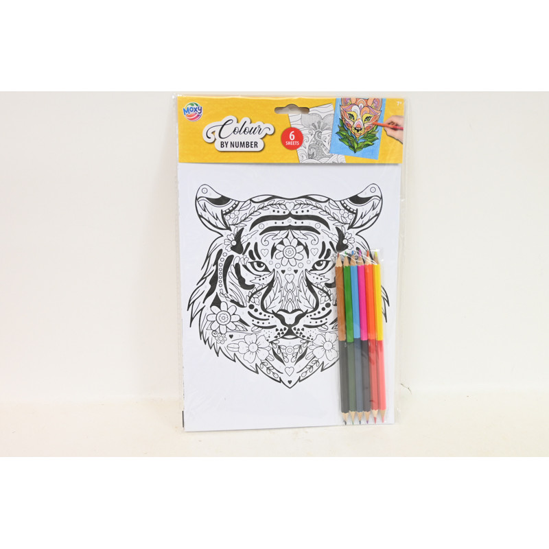 CCG kolorowanie po numer.A4 6str 150058 82356