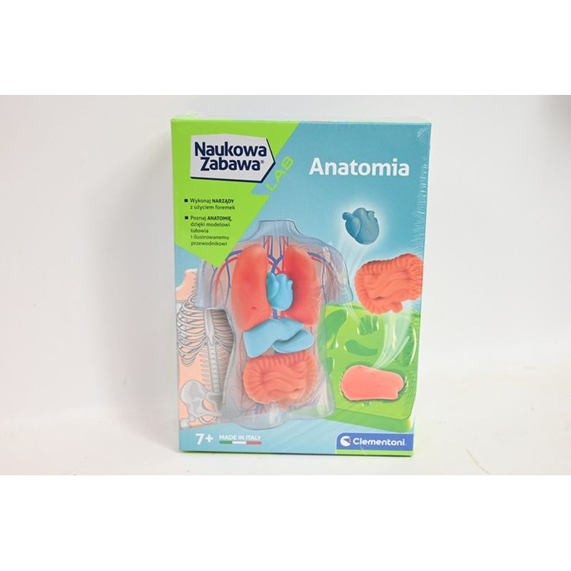 CLE Naukowa zabawa Anatomia 50252