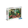 CLE puzzle 1000 HQ The Greenhouse Library 39889