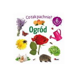Co tak pachnie? Ogród 14706