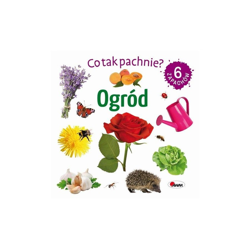 Co tak pachnie? Ogród 14706