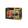 Cubic Fun puzzle 3D NatGeogr Niedźwiedź brun.10960