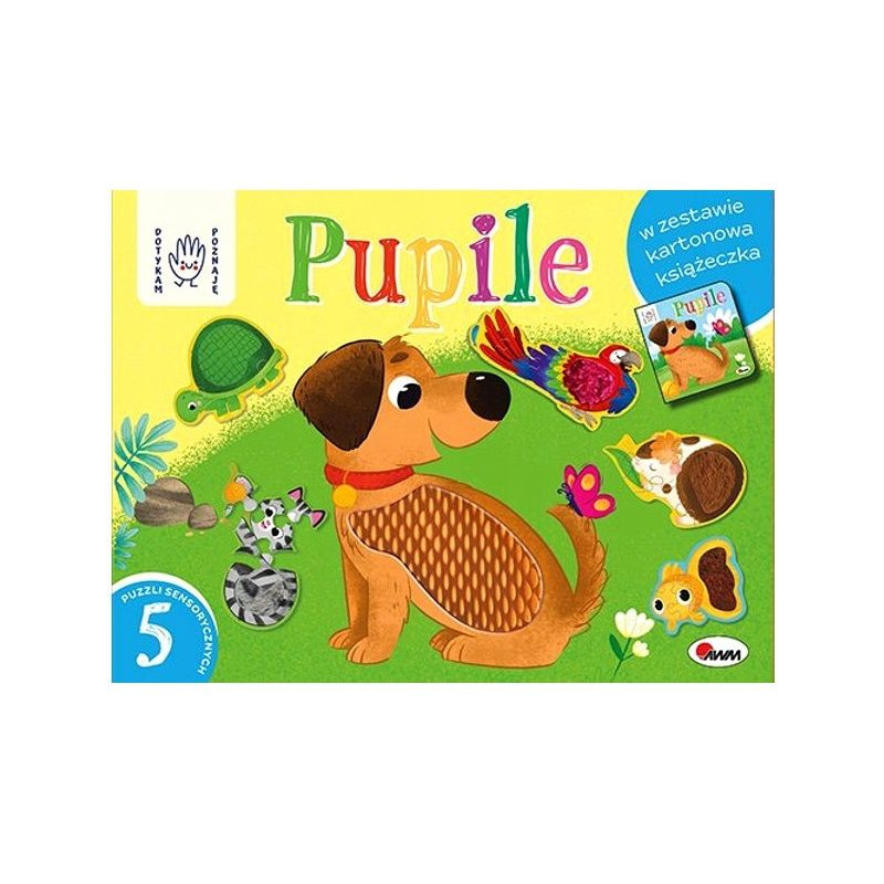 Dotykam,poznaje - pupile box 12818