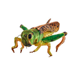 Konik polny 41cm 14169 23872