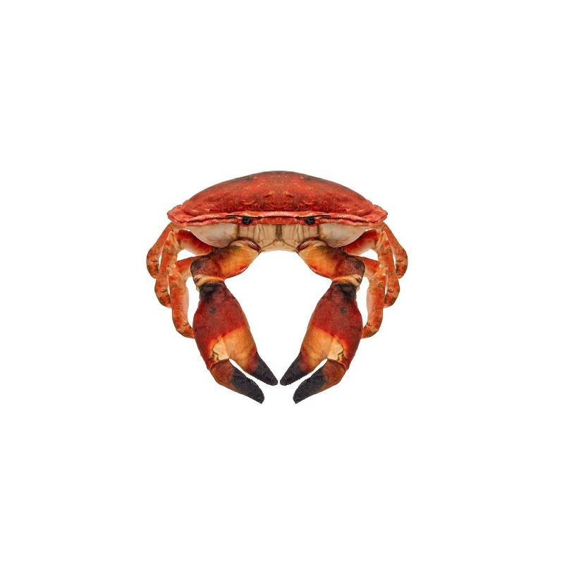 Krab słonowodny 26cm 14171 23896