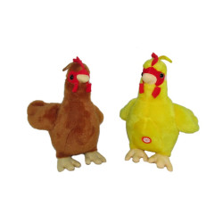 Kura K-1303 2kol z głosem 169495