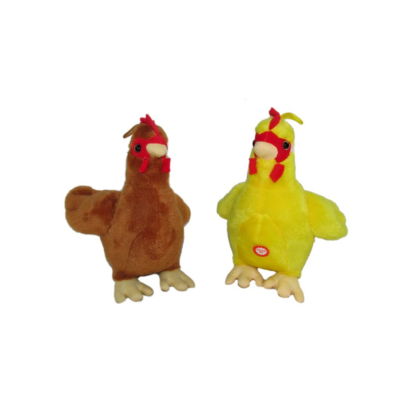 Kura K-1303 2kol z głosem 169495