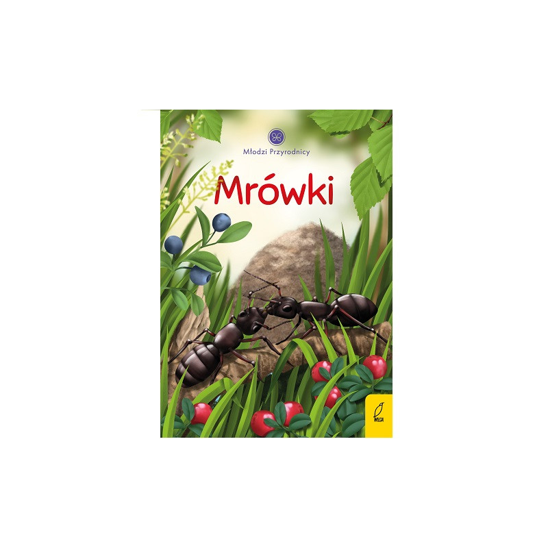 Mrówki.Młodzi przyrodnicy 80489