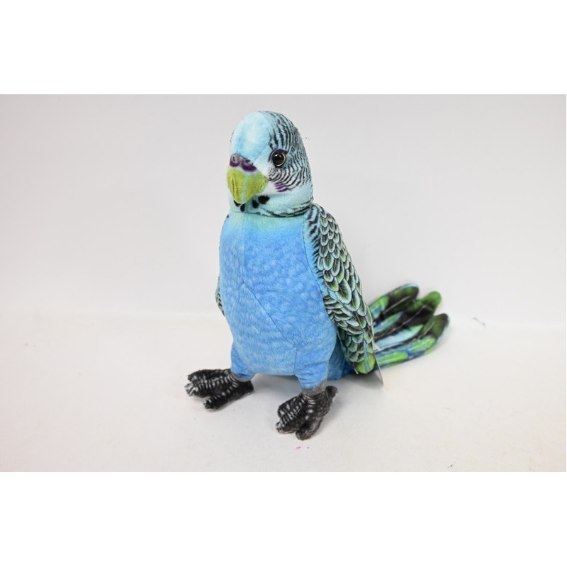 Papużka niebieska VIC 04294 42943