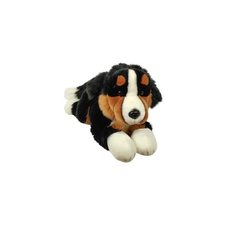 Pies Berneński 30cm 33314