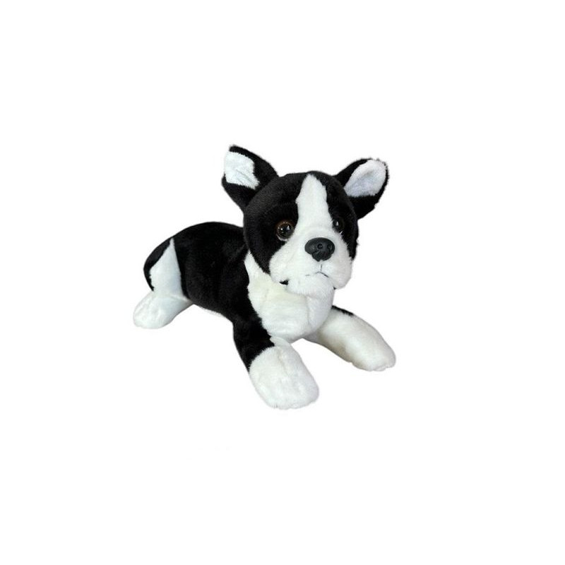 Pies boston terrier leżący 28cm 32164