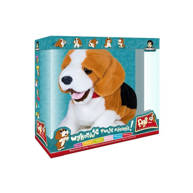 Pies Figo reagujący na komendy 062602 06546