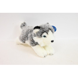 Pies Husky 27cm 31969