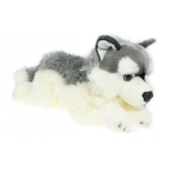 Pies husky 42cm 32041