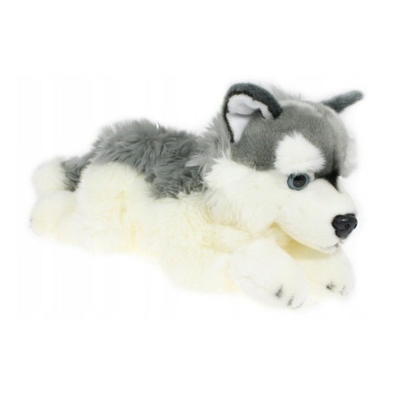 Pies husky 42cm 32041
