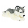 Pies husky 42cm 32041