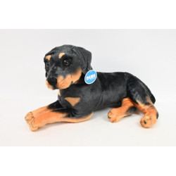 Pies rotwailer 47cm 32492