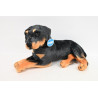 Pies rotwailer 47cm 32492