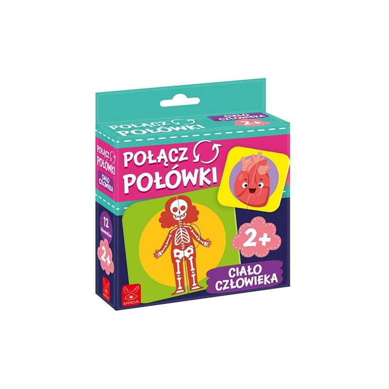 Połącz połówki Ciało człowieka 41305