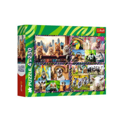 PUZZLE 4x250 Zabawne zwierzaki/Trefl 13313