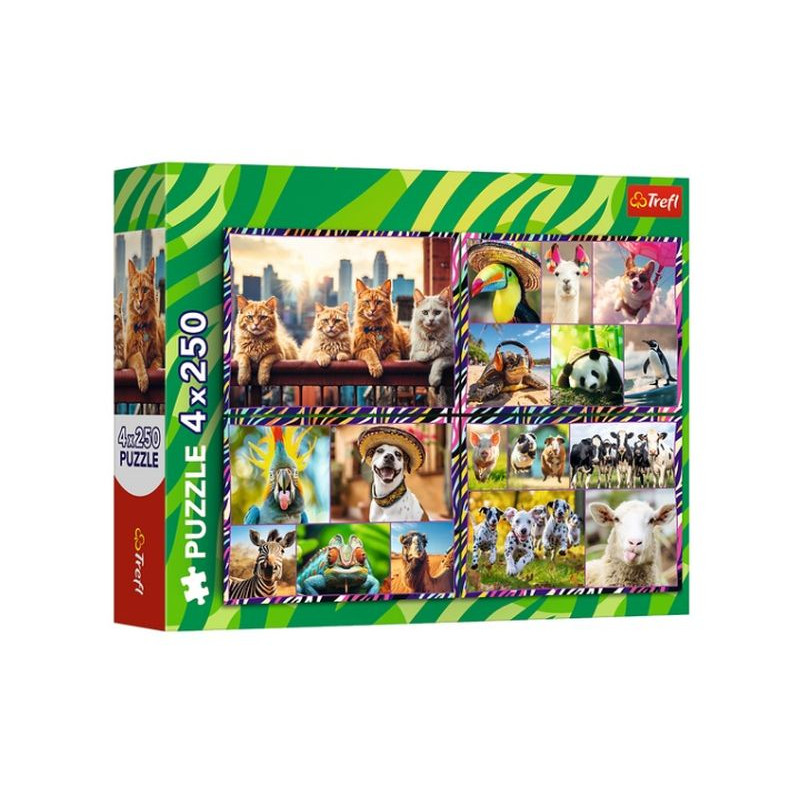 PUZZLE 4x250 Zabawne zwierzaki/Trefl 13313
