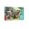 PUZZLE 60 Trzy kociaki Rodzina Treflików 17412