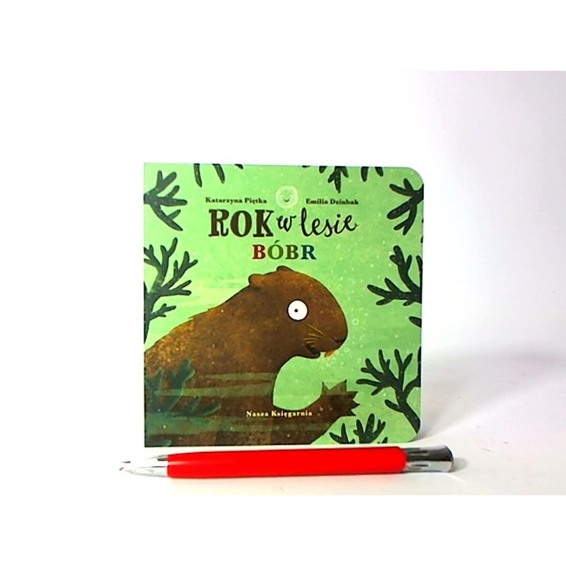 KSIĄŻ.ROK W LESIE. BÓBR