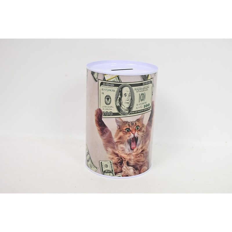 Skarbonka D42911 50266