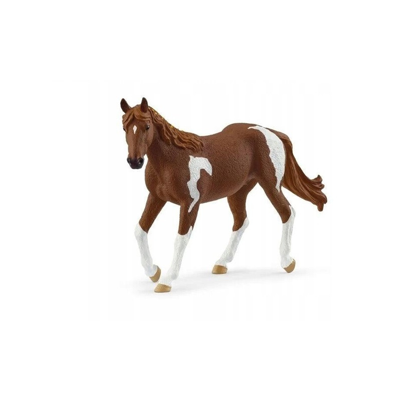 SLH klacz paint horse HorseClub 14901 70420