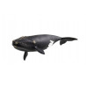 SLH wieloryb biskajski WildLife 14878 62241