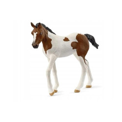 SLH źrebak rasy PaintHorse 14899 70451