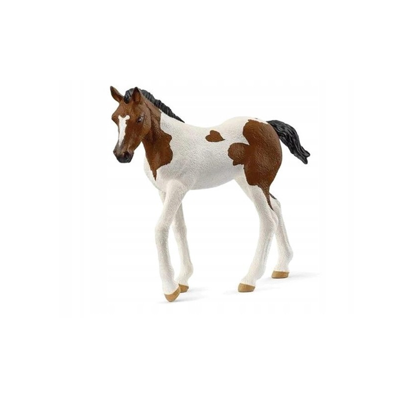 SLH źrebak rasy PaintHorse 14899 70451