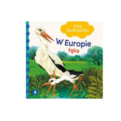 W Europie Łąka 77506 