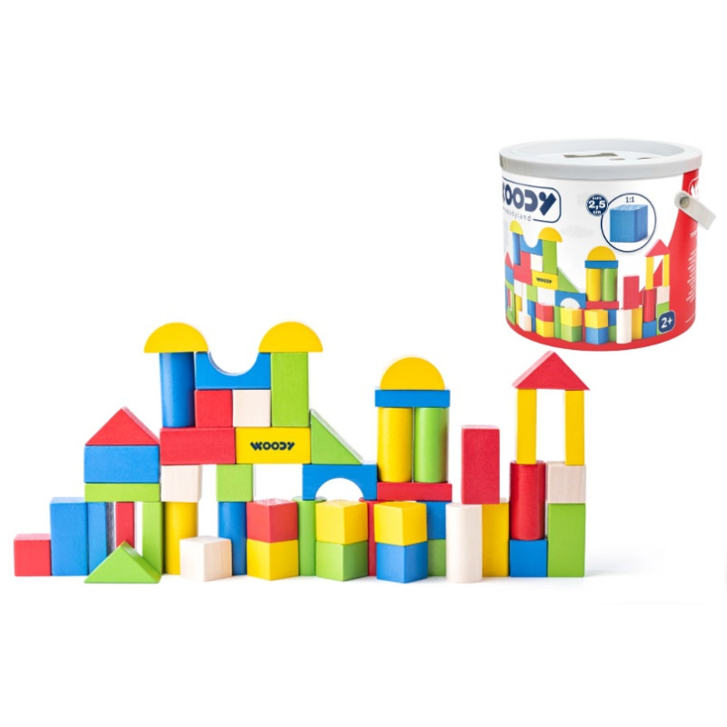 WOODYLAND Kolor.klocki drewn.50szt 90911 09117