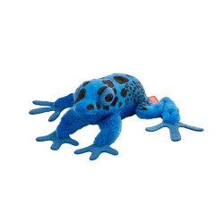 Żaba drzewołaz malarski niebieski 10cm 14209 24275