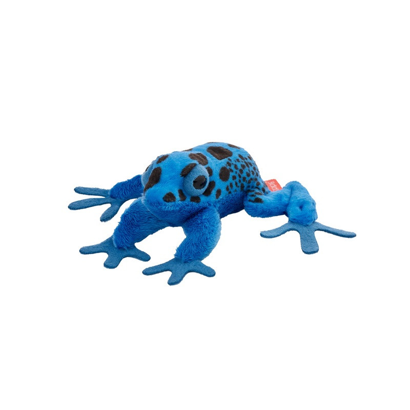 Żaba drzewołaz malarski niebieski 10cm 14209 24275