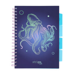 KOŁOZE.B5 100K   4PRZEK.OŚMIORNICA GRANATOWY STRIGO PADS051