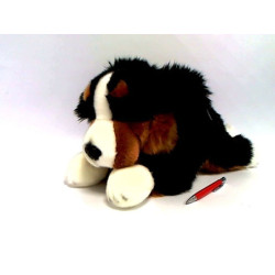 Pies Berneński 42cm 49003