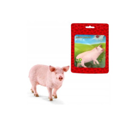  SLH świnia 13782 70211