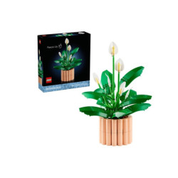  LEGO BOTANICALS Skrzydłokwiat 11504